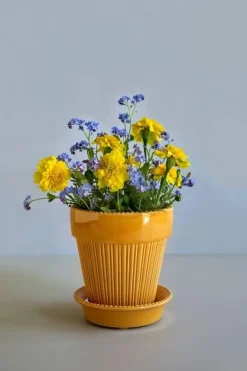 Bergs Potter ApS Presenttips|Blomkrukor & Vaser|Bergs Potter Kruka med fat Montmartre - Gul 16 cm