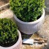 Bergs Potter ApS Blomkrukor & Vaser|Bergs Potter Krukor|Bergs Potter Utomhuskruka - Natur 30 cm