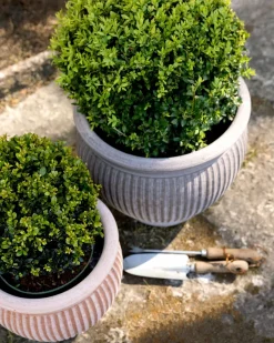 Bergs Potter ApS Blomkrukor & Vaser|Bergs Potter Krukor|Bergs Potter Utomhuskruka - Natur 30 cm