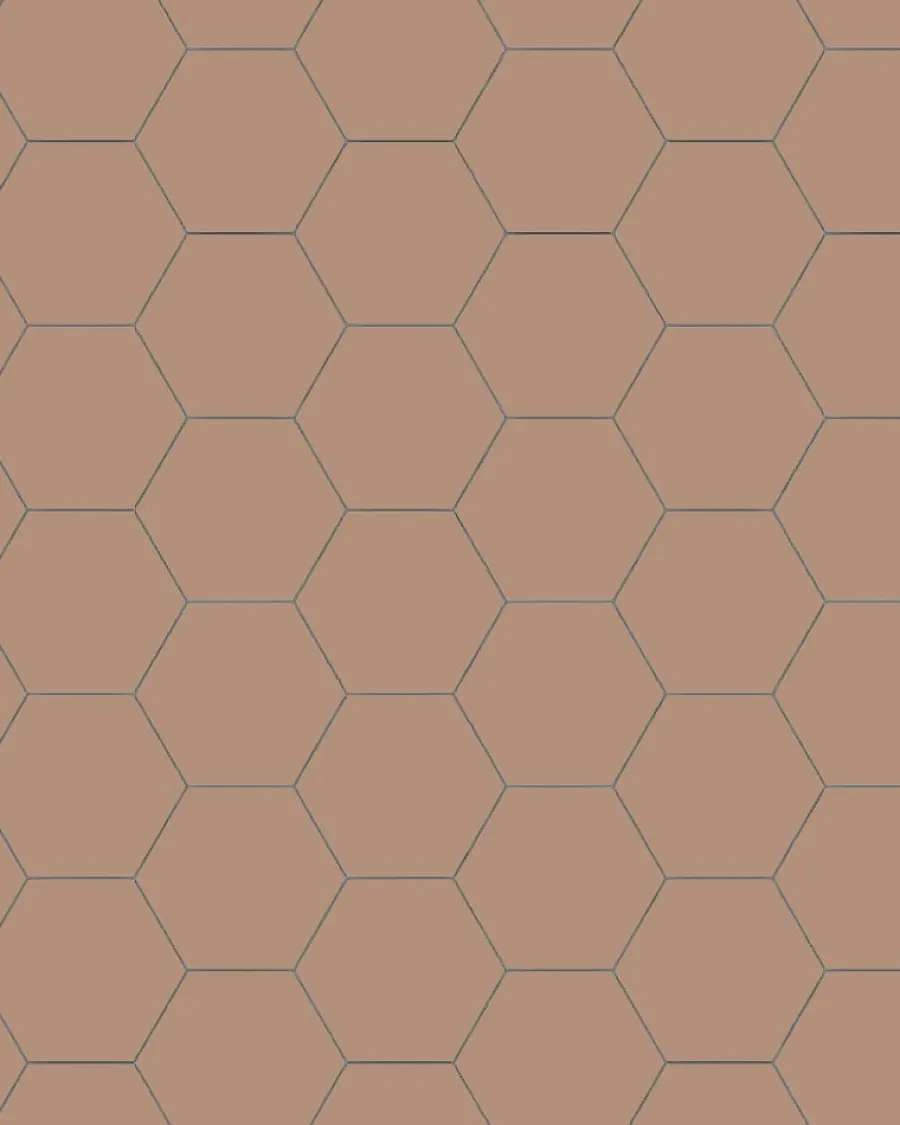 Winckelmans Klinker Hall|Hexagonklinker|Klinker - Hexagon 10 x 10 cm gammelrosa