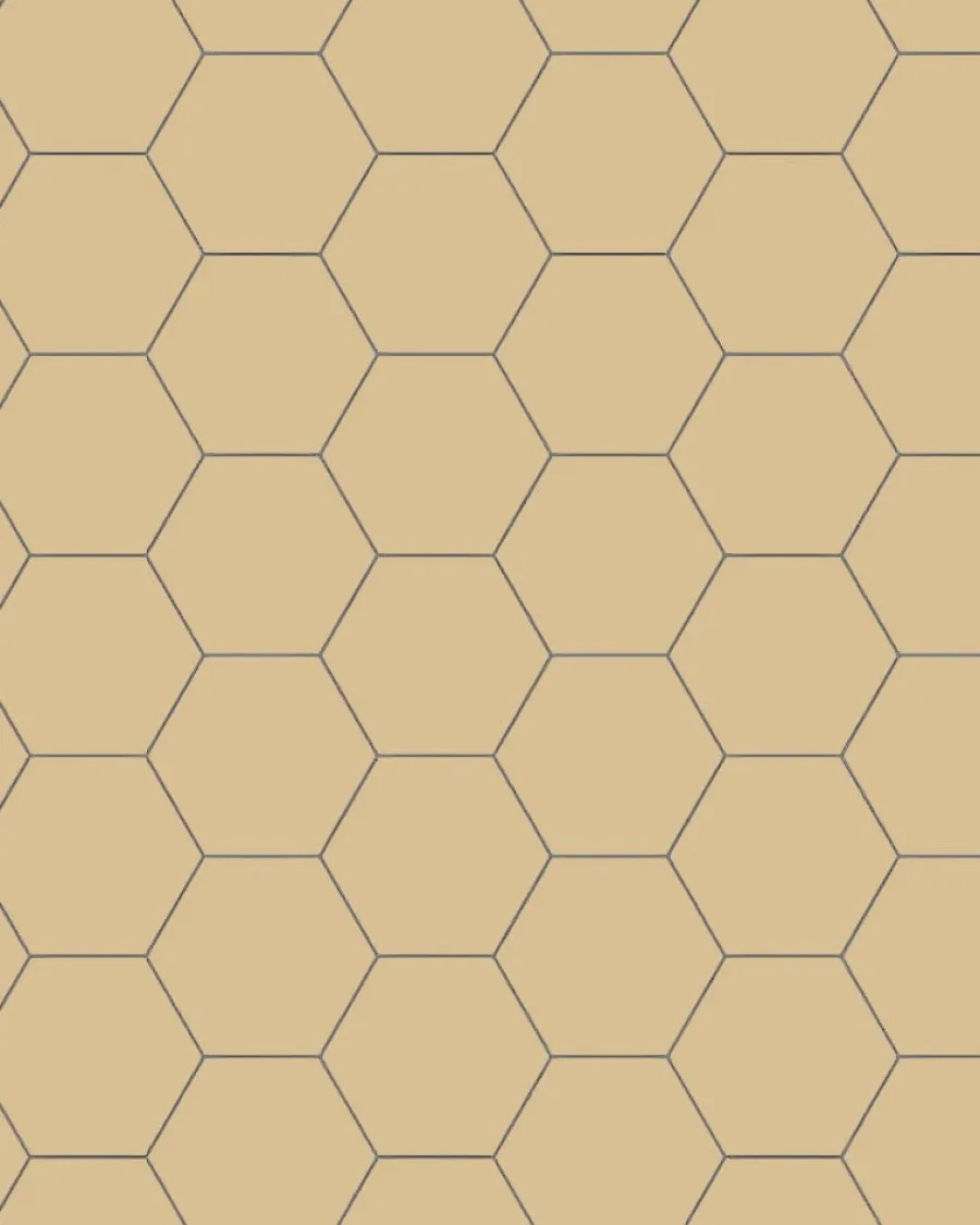Winckelmans Klinker Hall|Hexagonklinker|Klinker - Hexagon 10 x 10 cm honung