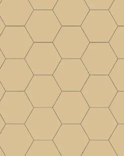 Winckelmans Klinker 15X15 Cm|Klinker Hall|Klinker - Hexagon 15 x 15 cm honung
