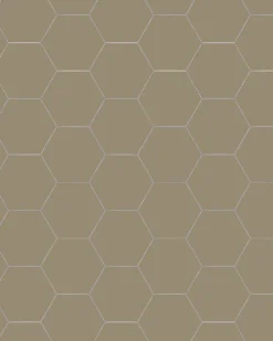 Winckelmans Klinker Hall|Hexagonklinker|Klinker - Hexagon 10 x 10 cm mullvadsgrå