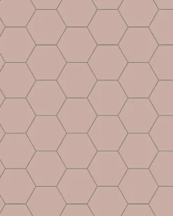 Winckelmans Klinker Hall|Hexagonklinker|Klinker - Hexagon 10 x 10 cm rosa