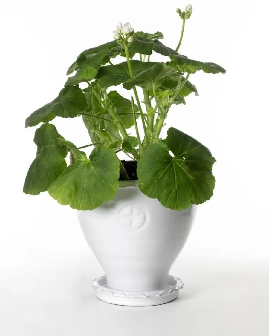 Sturehofs Krukmakeri Presenttips|Blomkrukor & Vaser|Kruka Sturehof - Adelcrantz, 21 cm vit