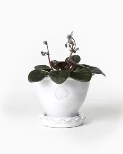 Sturehofs Krukmakeri Presenttips|Blomkrukor & Vaser|Kruka Sturehof - Adelcrantz, 11 cm vit