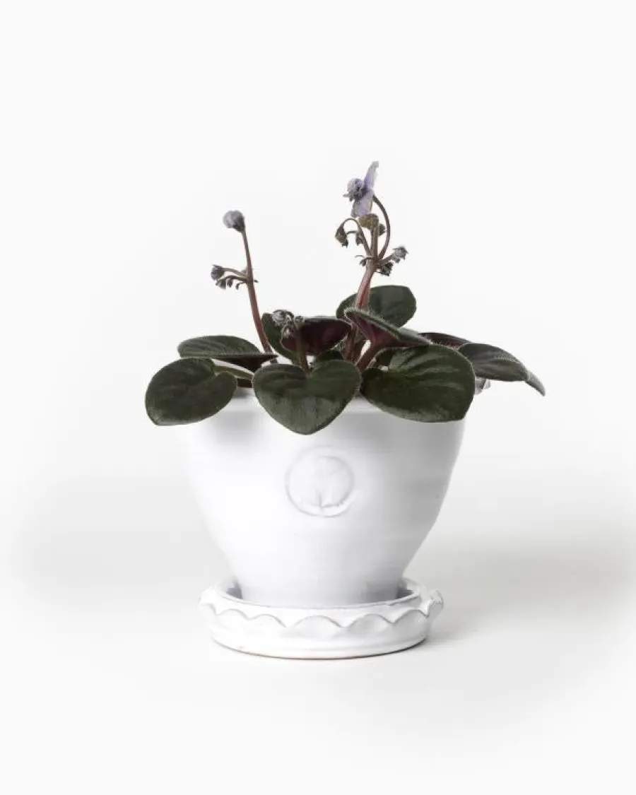 Sturehofs Krukmakeri Presenttips|Blomkrukor & Vaser|Kruka Sturehof - Adelcrantz, 11 cm vit