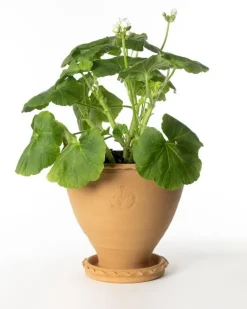 Sturehofs Krukmakeri Presenttips|Blomkrukor & Vaser|Kruka Sturehof - Adelcrantz 21 cm