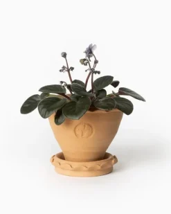 Sturehofs Krukmakeri Presenttips|Blomkrukor & Vaser|Kruka Sturehof - Adelcrantz 11 cm