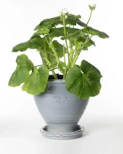 Sturehofs Krukmakeri Presenttips|Blomkrukor & Vaser|Kruka Sturehof - Adelcrantz, 21 cm grå