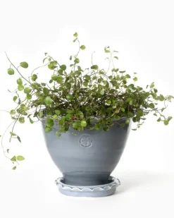 Sturehofs Krukmakeri Presenttips|Blomkrukor & Vaser|Kruka Sturehof - Adelcrantz, 17 cm grå