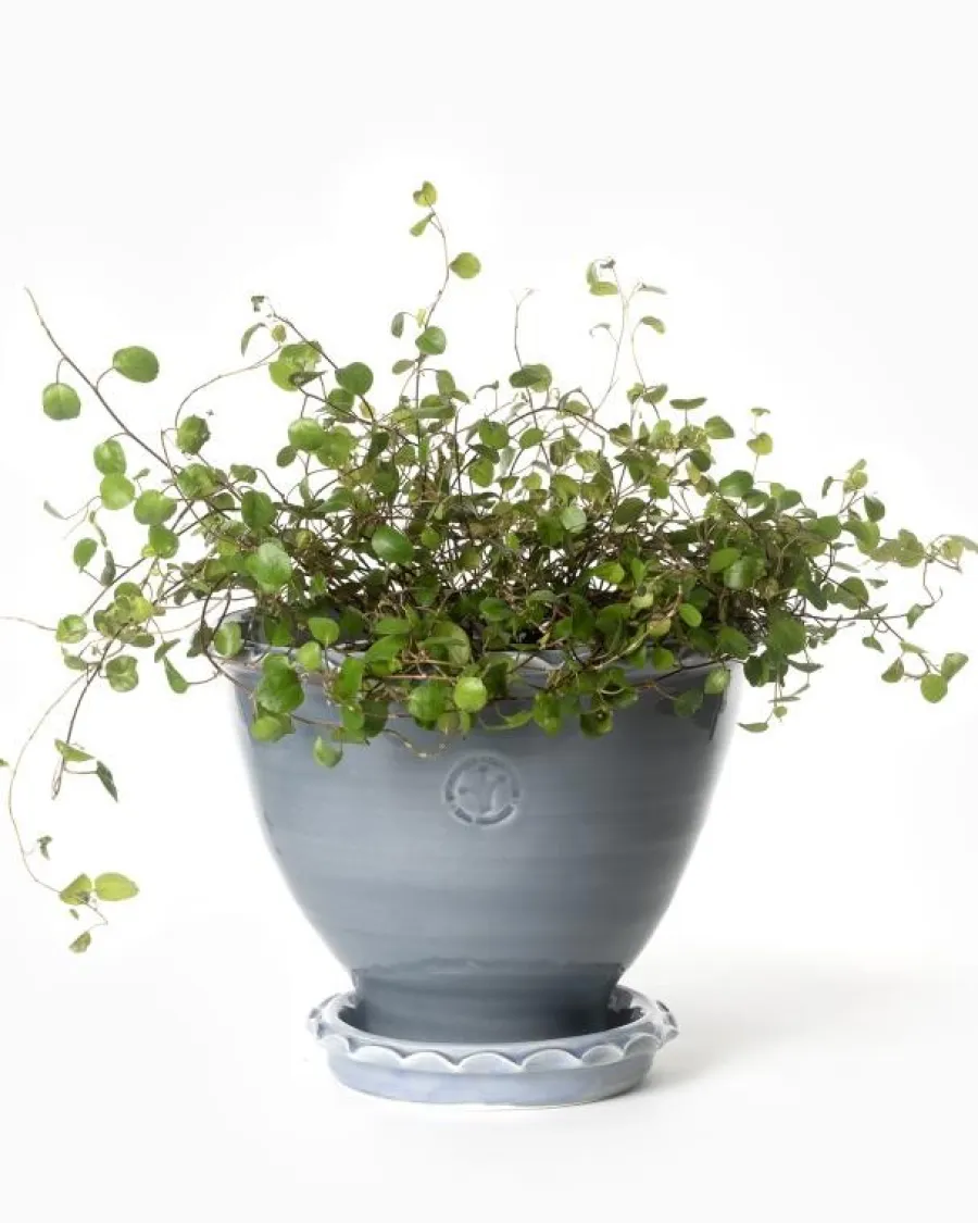 Sturehofs Krukmakeri Presenttips|Blomkrukor & Vaser|Kruka Sturehof - Adelcrantz, 17 cm grå