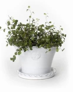 Sturehofs Krukmakeri Presenttips|Blomkrukor & Vaser|Kruka Sturehof - Liljencrantz, 20 cm vit