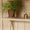 Bharat Brass & Copper Industries Presenttips|Krukfat mässing - Solliden