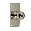 NEXA TECHNOLOGIES / NANDAN INTERNATIONAL Knoppar I Nickel|Köksknoppar|Rund knopp med bottenplatta - Nickel 40 x 70 mm