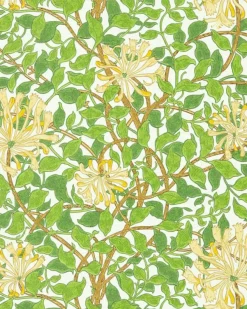 Sanderson Design Group Brands Ltd Mönstrade Tapeter|Blommiga Tapeter|William Morris & Co. Tapet - Honeysuckle cream/chocolate