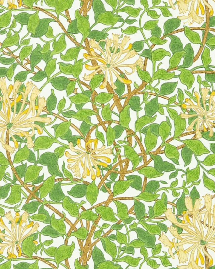 Sanderson Design Group Brands Ltd Mönstrade Tapeter|Blommiga Tapeter|William Morris & Co. Tapet - Honeysuckle cream/chocolate