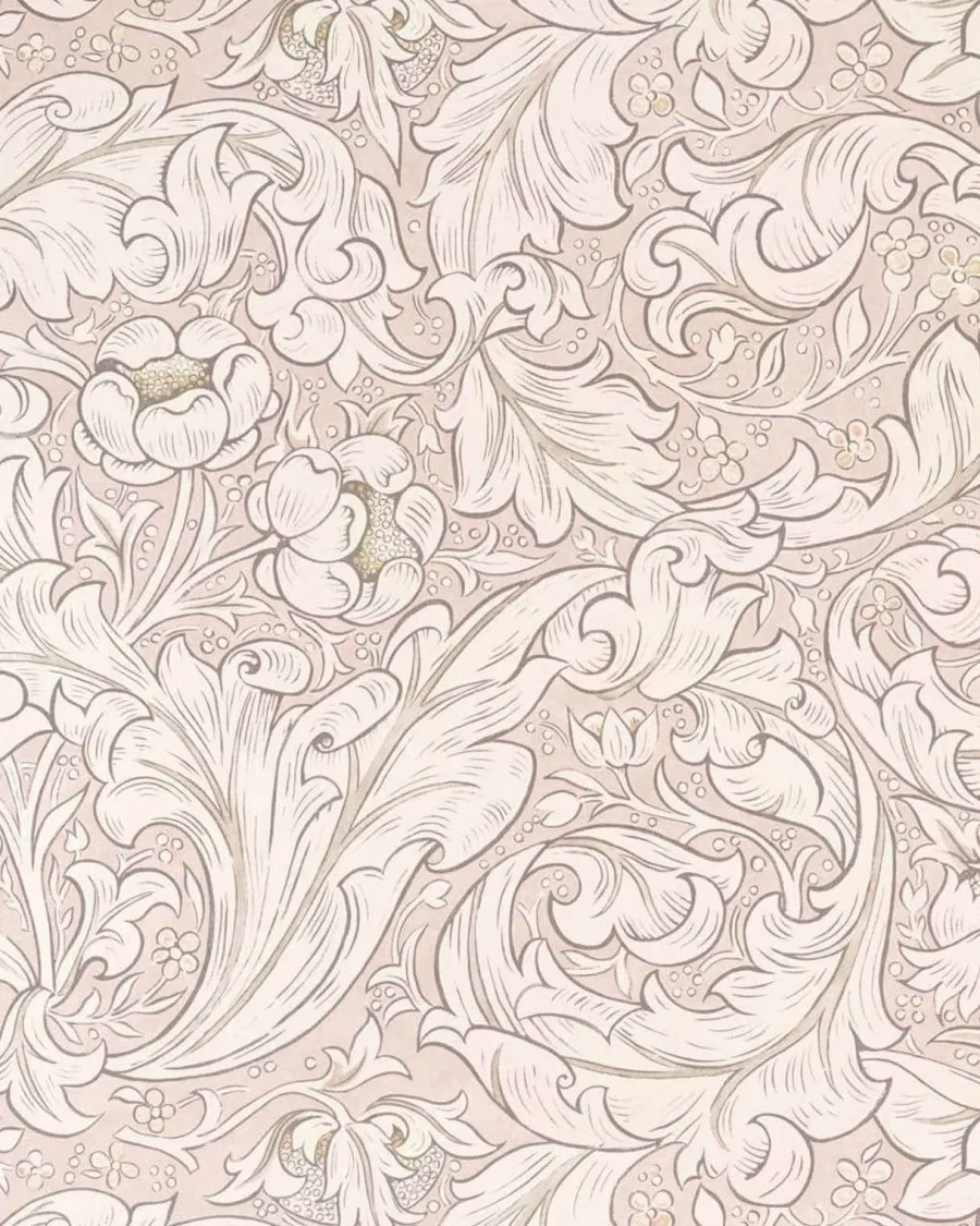 Sanderson Design Group Brands Ltd Mönstrade Tapeter|William Morris & Co - Tapeter|William Morris & Co. Tapet - Pure Bachelor´s Button Faded Sea Pink