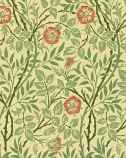 Sanderson Design Group Brands Ltd Mönstrade Tapeter|Blommiga Tapeter|William Morris & Co. Tapet - Sweet Briar Green/Blue/Rose