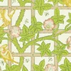 Sanderson Design Group Brands Ltd Mönstrade Tapeter|Blommiga Tapeter|William Morris & Co. Tapet - Trellis summer yellow
